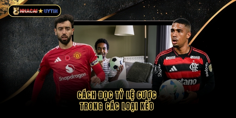 Cách đọc tỷ lệ cược trong các loại kèo 