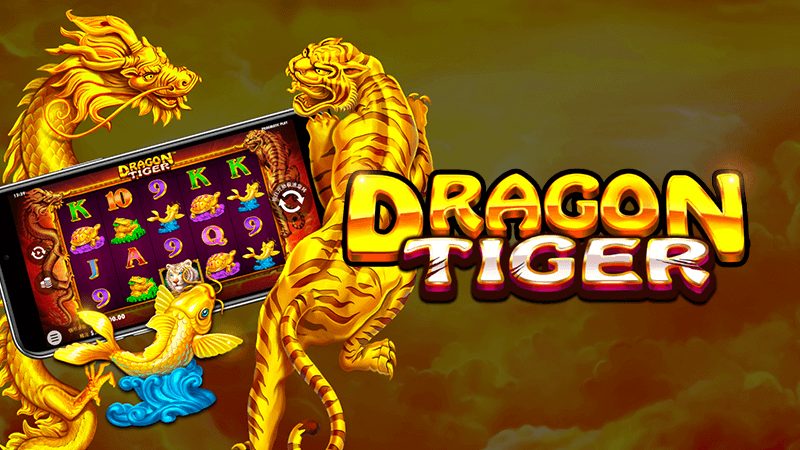 Các Cửa Cược Quan Trọng Trong Dragon Tiger