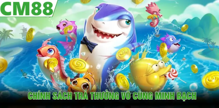Kinh nghiệm kiểm soát: Bắt nhịp hợp lý, phân bổ ngân sách và dừng đúng lúc
